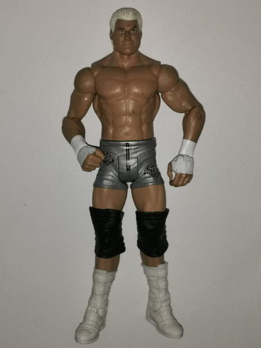 Figura Wwe Muñeco Lucha Libre Luchador Dolph Ziggler M1