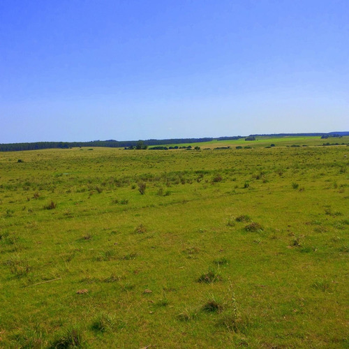 Venta Chacra En Pueblo Garzón, Maldonado