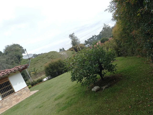 Imagen 26 de 28 de Linda Finca En Venta En La Vereda Quirama Del Carmen Viboral