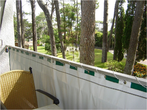 Apartamento En Mansa, 1 Dormitorios *- Ref: 4641
