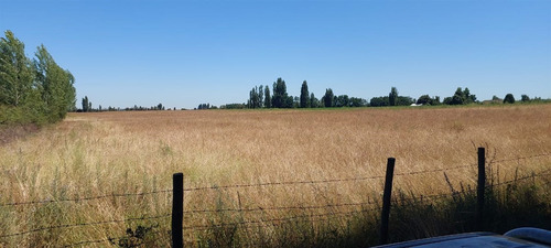 18 Hec Oportunidad Se Vende Terreno Agrícola Retiro Talca