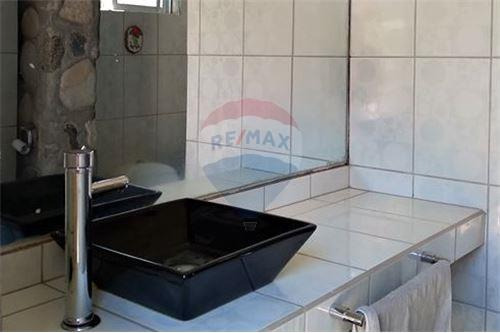 Campo En Venta - Colliguay- Iv Region-paltas