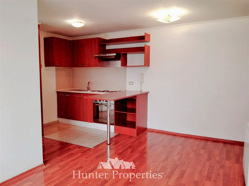 Depto. En Arriendo De 2d/1b, San Isidro, Santiago Centro