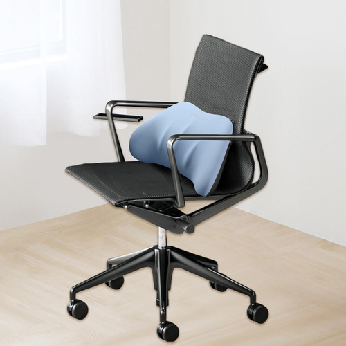 Almohada De Apoyo Lumbar Almohada De Apoyo Para La Azul