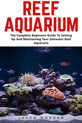 Reef Aquarium The Complete Beginners Guide To Setting Up And