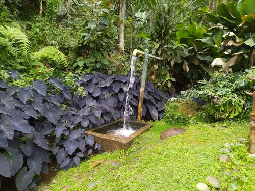 Venta / Alquiler Casa Campestre Kilometro 27 Vía Al Mar Valle Del Cauca