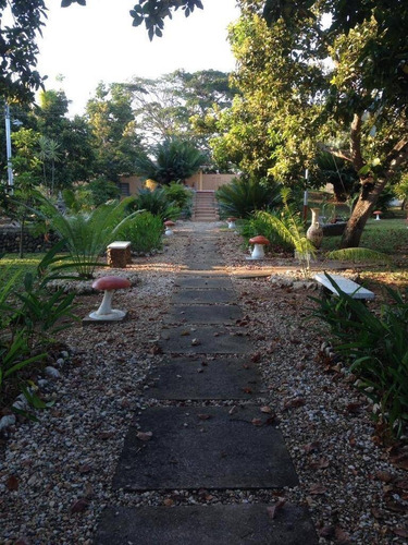 Imagen 8 de 12 de Se Vende Finca Terreno Propio En Taguanes Tinaquillo Cód 163349 Lucrecia Escorcha