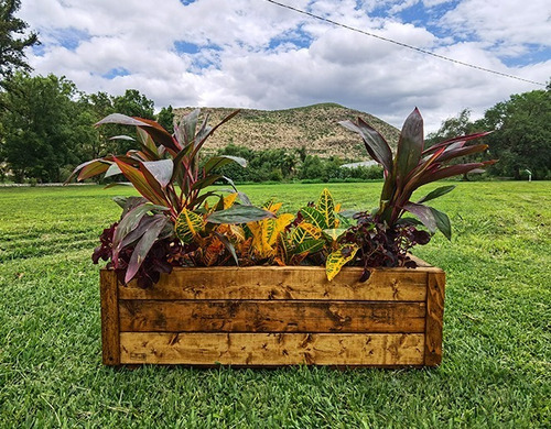 Imagen 2 de 6 de Maceta De Madera Tipo Jardinera De Barrote Grueso Color Roble