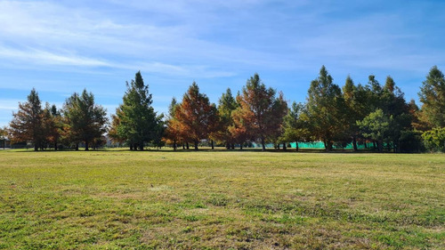 Imagen 8 de 9 de Terreno De 800m2 En San Sebastian
