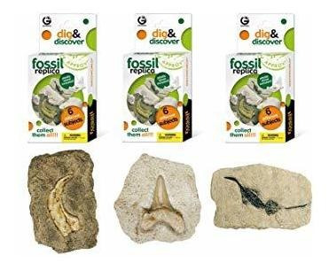 Geoworld Fossil Dig Réplica Y Discover Bundle (set 1)