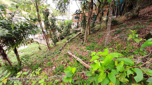 Imagem 17 de 18 de Terreno - Pq0119 - 70075542