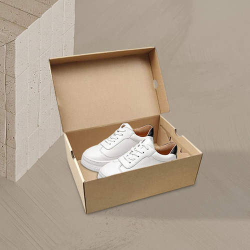 . Caja Almacenamiento Zapatos, Estuche 30cmx18cmx10cm