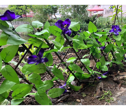 Valla Simulada, Hojas De Valla, Violeta