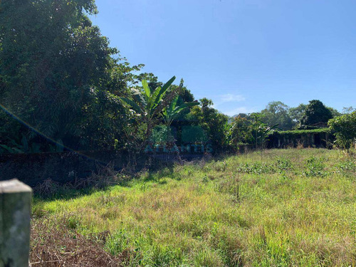 Terreno, Praia Da Lagoinha, Ubatuba - R$ 215 Mil, Cod: 1201 - V1201
