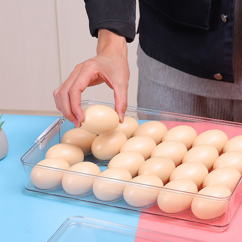 Portahuevos Con Capacidad Para 24 Compartimentos Organizador