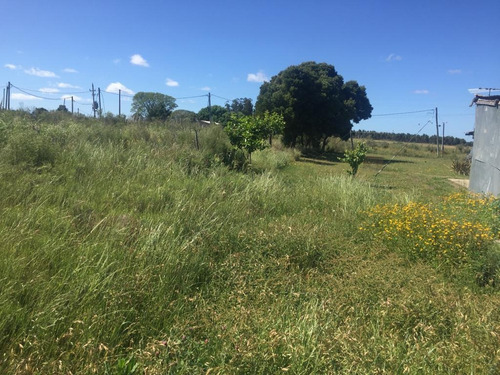 Vende Chacra En Excelente Punto Sobre Camino A 1 Km De Ruta