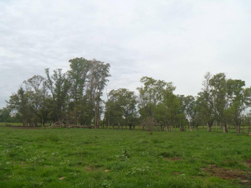 Imagen 8 de 20 de Casa Campo En Venta Ubicado En Pilar, G.b.a. Zona Norte