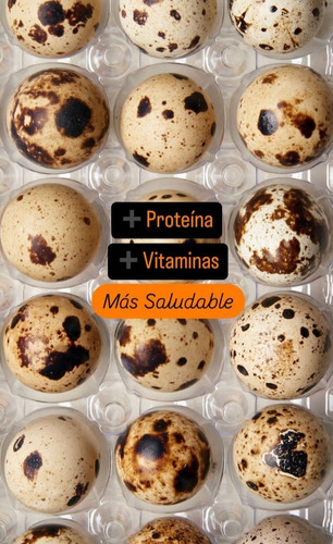 Huevos De Codorniz