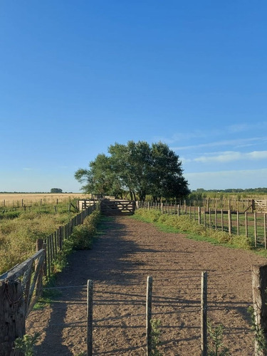 Imagen 11 de 17 de Campo En Venta En Pta Indio