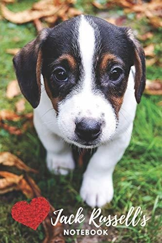 Cuaderno De Jack Russell: Lindo Regalo De Jack Russells Para