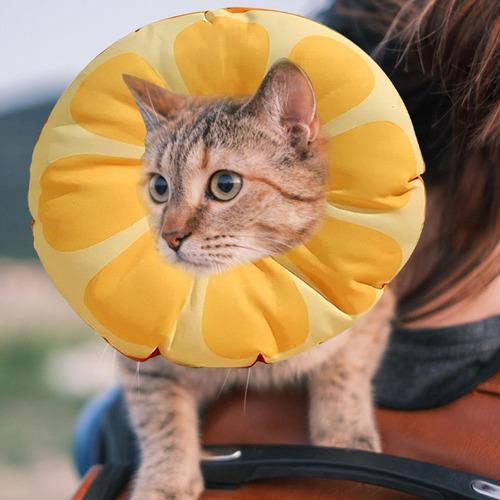 Cono De Gato Collar Isabelino A Prueba De Para Perros Y Gato