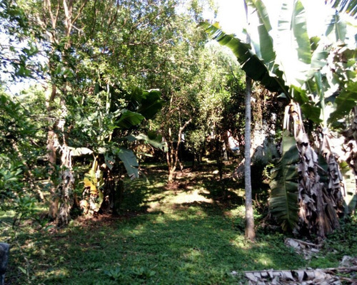Chácara 3.200 M² - Palermo - Gravataí - Rs - 1597 - 32420118