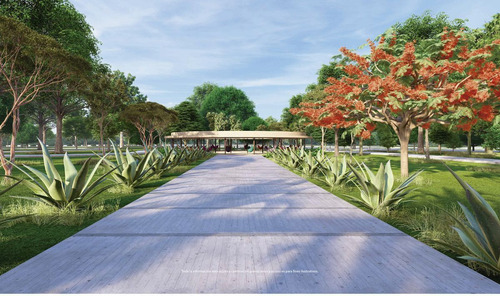 Lotes Residenciales En Venta Casa Kokob Ubicados En Tixkokob, Yucatán.