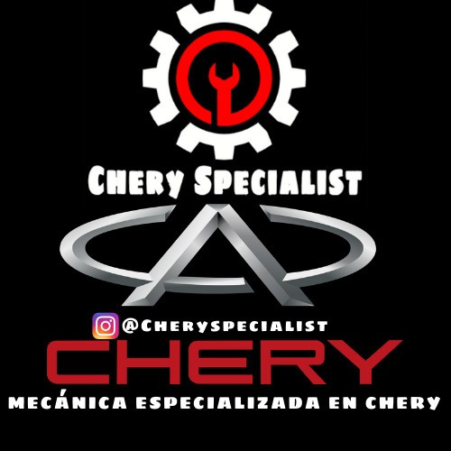Imagen 1 de 4 de Mecánico Chery Especialista
