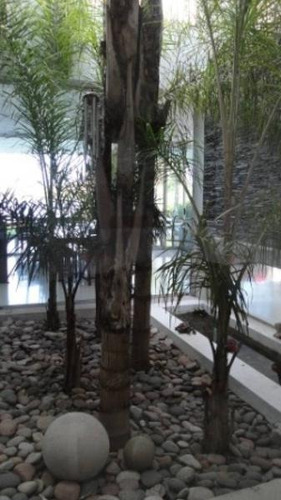 Imagen 14 de 26 de Excelente Casa Al Lago En Santa Bárbara. Muy Buena Calidad De Construccion!