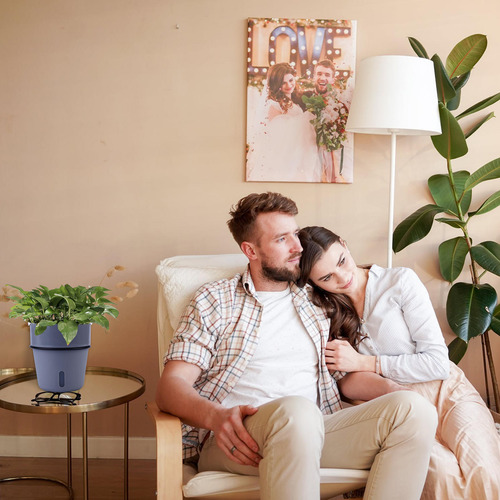 Jardinera Con Autorriego, Decorativa, Con Riego Automático
