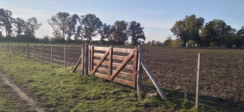 Campo - Fraccion De 7.24 Has.