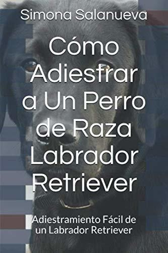 Cómo Adiestrar A Un Perro De Raza Labrador Retriever: Adiest