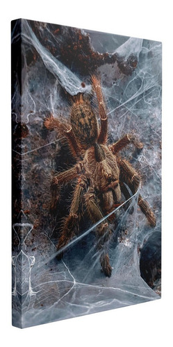 Cuadro Tarantula Marrón Sobre Telarañas Animales 40x60