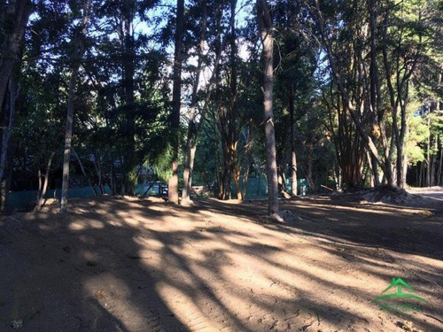 Hermoso Lote Con Vista Al Lago (cód. 205)