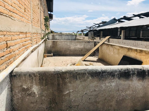Imagen 11 de 29 de Terreno En Venta 20 Hectareas A 5 Min Boulevard Francisco Villa
