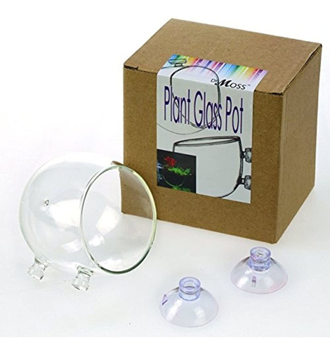 Tanque De Peces De Acuario Glass Live Plant Cup Pot Crystal