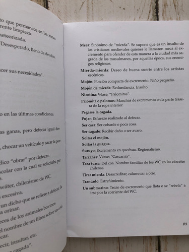 Groserías Y Palabrotas Chilenas / Profe. Jaime Campusano (Usado)