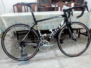 giant iguana 640