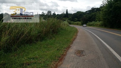 Imagem 3 de 3 de Terreno Para Implantação De Pesqueiro Ou Pequena Industria Em Centro - Pinhalzinho, Sp - 1458