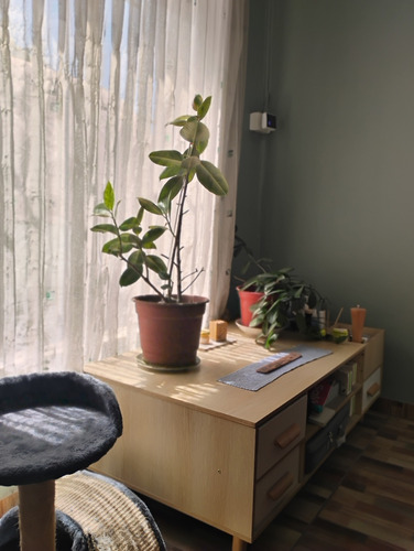 Casa 4 Dormitorio, 3 Baños Y 5 Estacionamientos