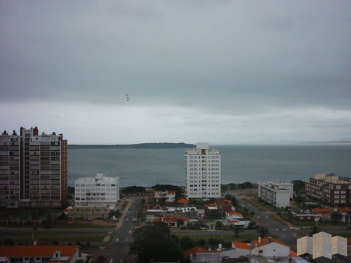 Imagen 9 de 30 de Apartamento En Punta Del Este, Brava