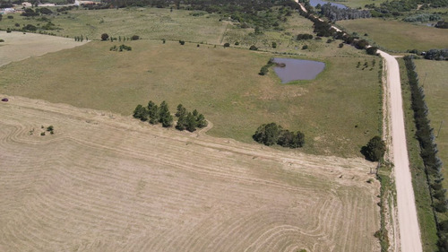 Imagen 26 de 30 de Chacra En Venta, Fraccion De 20 Has En Jose Ignacio (ref: Atm-6766)