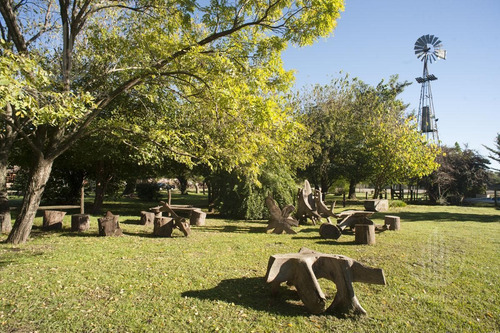Imagen 14 de 25 de Emprendimiento Gastronomico Espacios Al Aire Libre ( Exclusivo Empresas )
