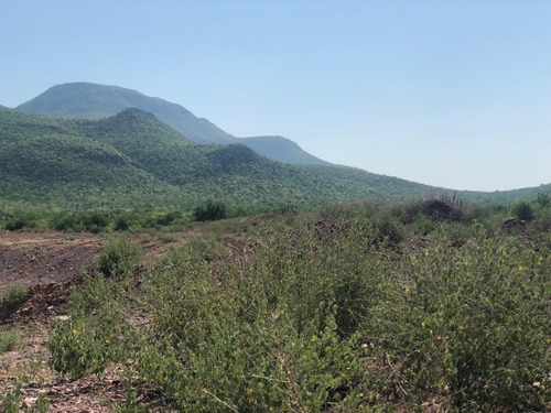 Terreno Ejidal En Tosalibampo, Ahome, Sin.