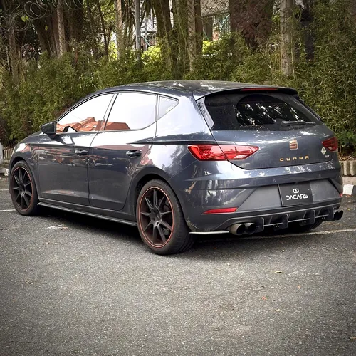 Seat Leon Cupra 290