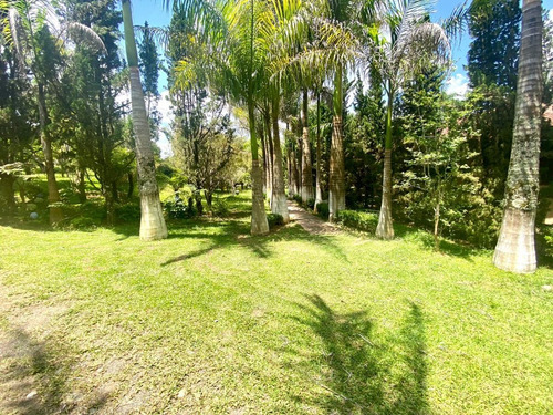 Imagem 5 de 13 de {06} Chácara R$270.000 Próximo A São Roque