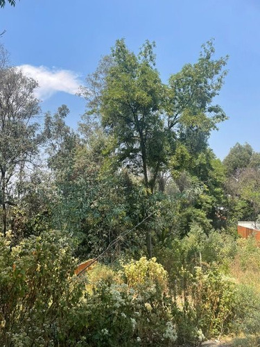 Terreno En Venta En Constituyentes: Lomas Altas