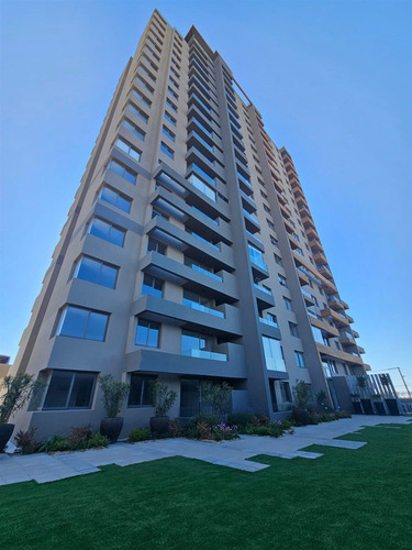 Departamento En Arriendo De 1 Dorm. Y 1 Baño, En Coquimbo