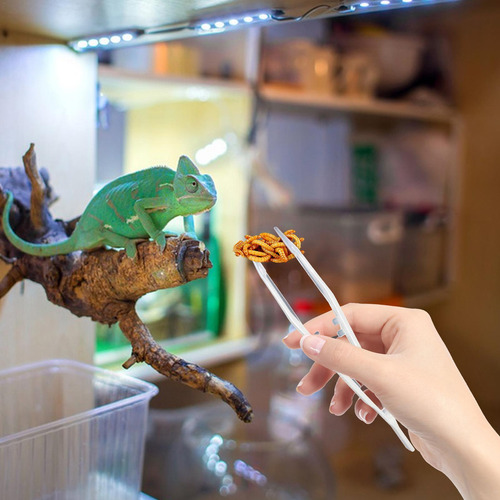 Pinzas Para Alimentación De Reptiles Pinzas Para Alimentació