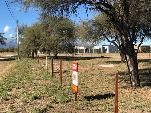 Imagen 7 de 14 de Lote Solares Del Valle